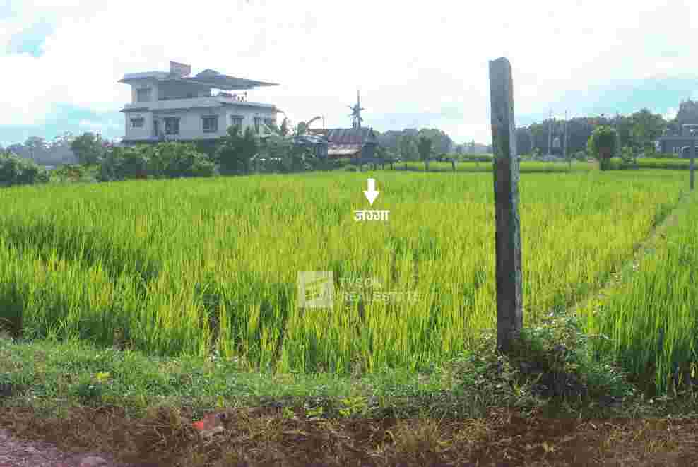 Attractive land on Sale at Dharan-6