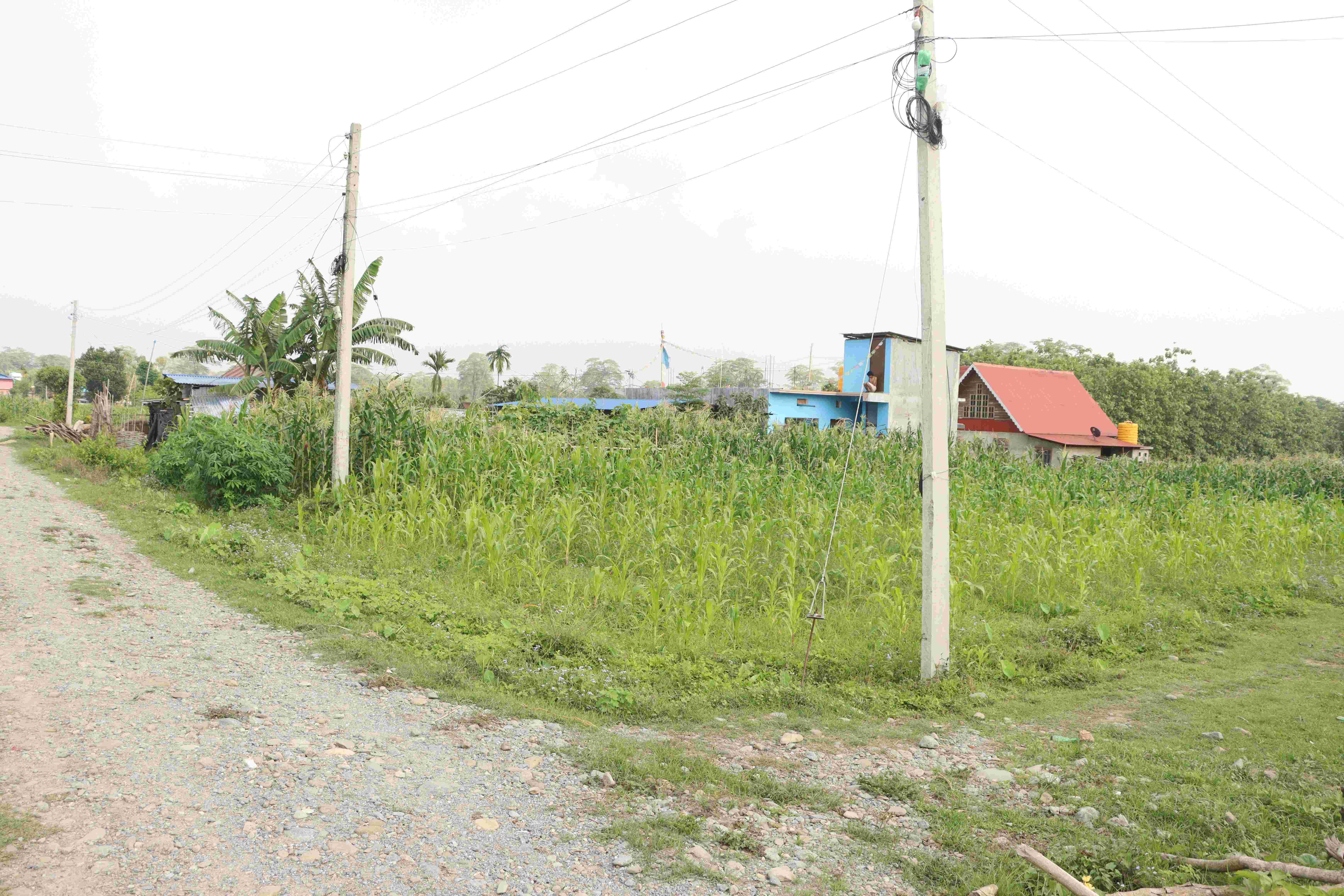 Attractive And Affordable Land For Sale