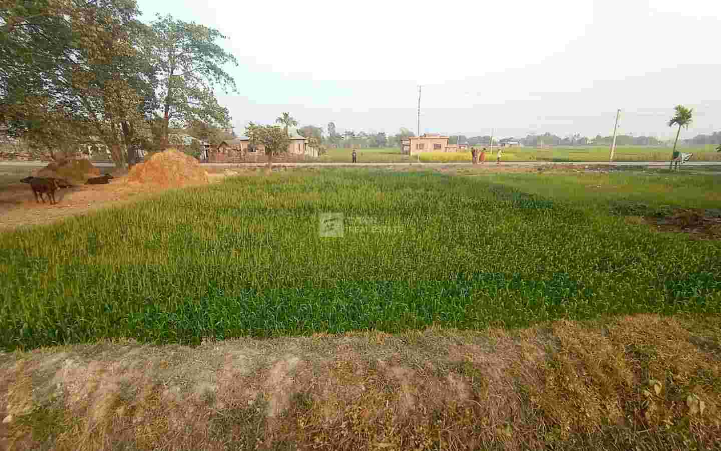 Attractive Land For Sale